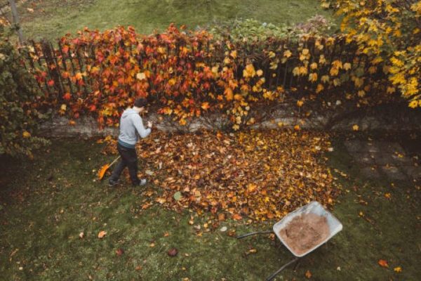 Tuin Winterklaar Maken